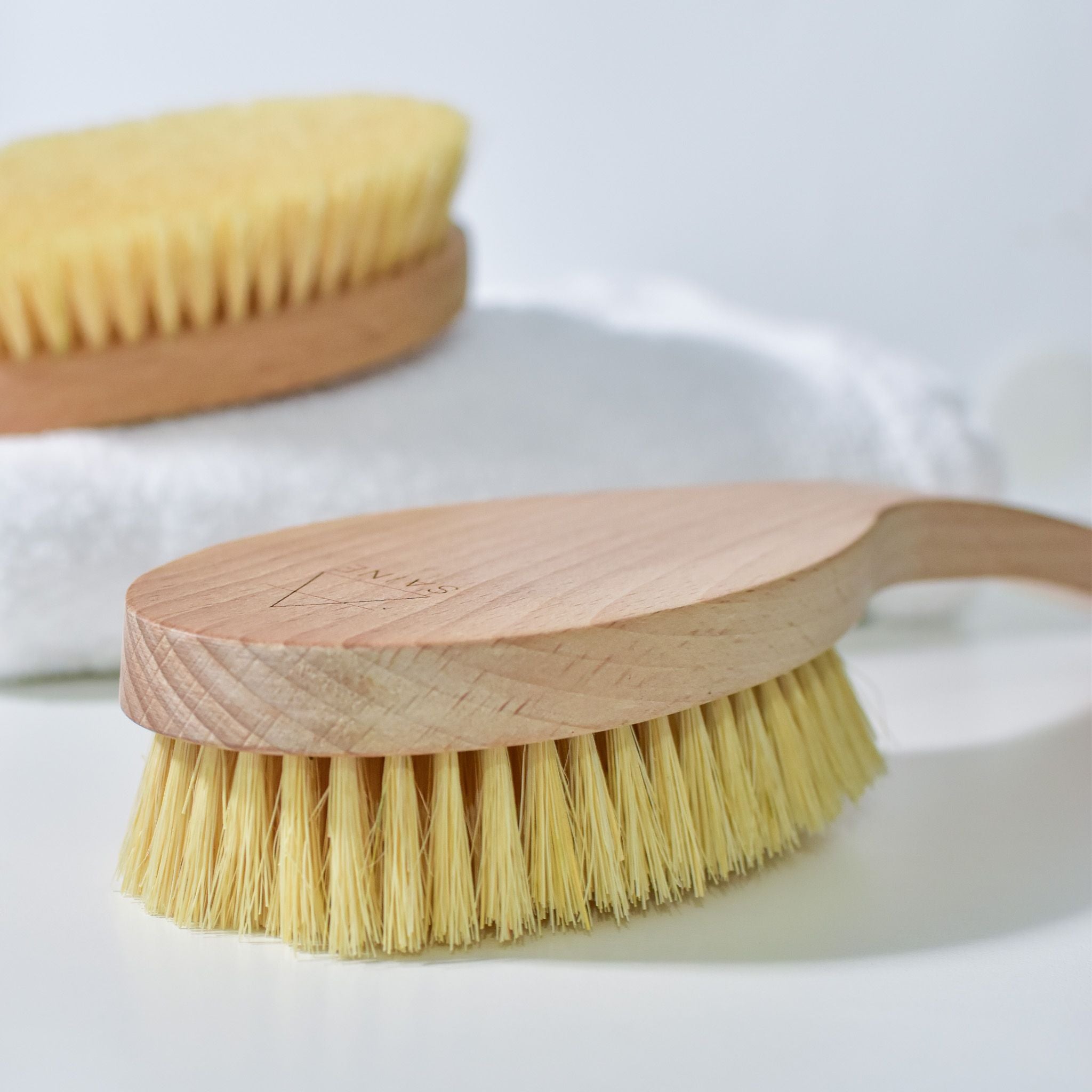 Body Brush with long handle